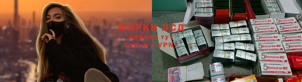кокс Алзамай
