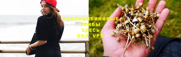 jwh Арсеньев