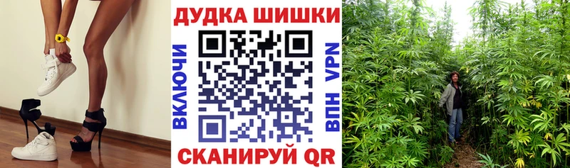 Купить где  Кодинск  Бошки Шишки VHQ 